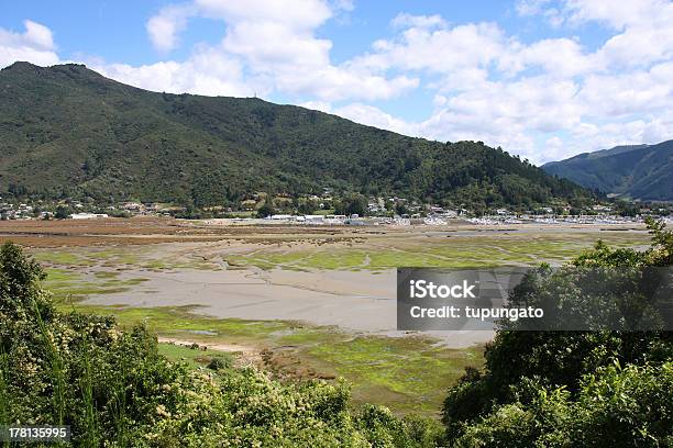 Nowa Zelandia - zdjęcia stockowe i więcej obrazów Bagno - Bagno, Bez ludzi, Błoto