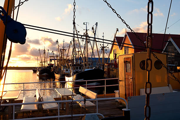 istock harbor with fishing ships, Zoutkapm, Netherlands 178136393