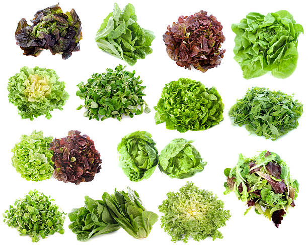 istock varieties of salads 178136462