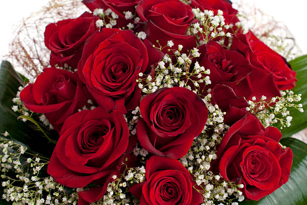 赤いバラ - dozen roses rose flower arrangement red ストックフォ��トと画像