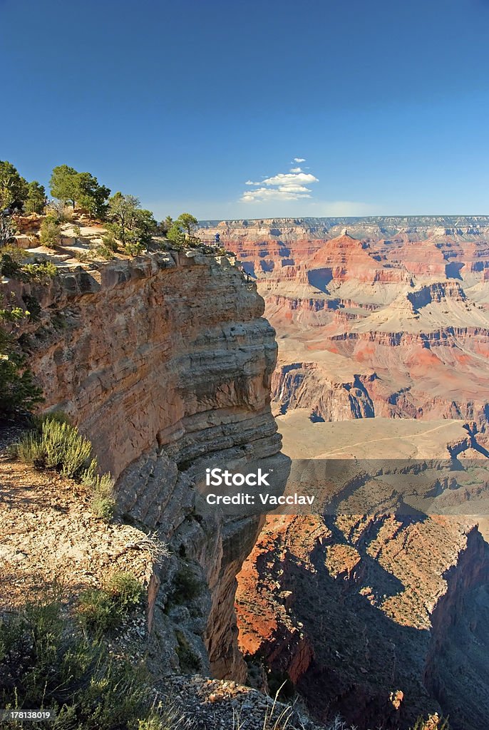 South Rim do Grand Canyon, Arizona panorama - Royalty-free Admirar a Vista Foto de stock