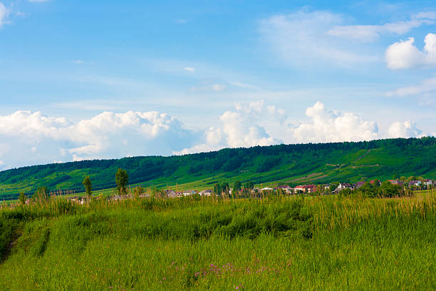 Collines verdoyantes sous ciel bleu - Photo