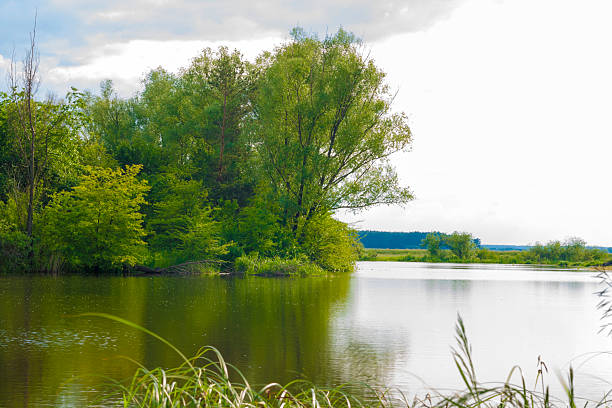 Île sur le lac - Photo