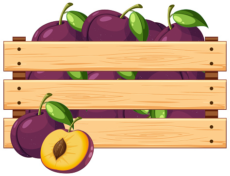 A vector cartoon illustration of a wooden crate filled with plums, isolated