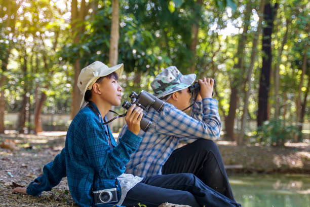 Asian boys use binoculars to look at birds in a community forest own.