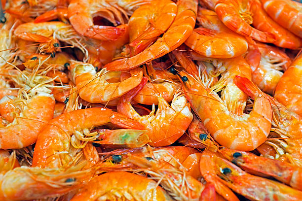 istock Shrimps in the fish market 178141414