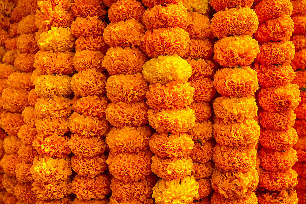 istock Marigold flowers garland background 178141527