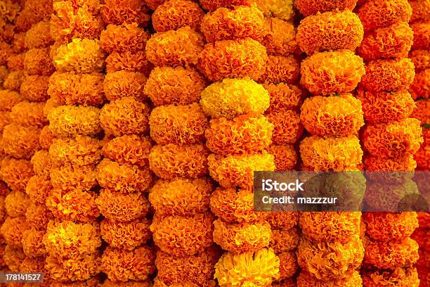 Marigold Flowers Garland Background Stock Photo - Download Image Now - Marigold, India, Culture of India