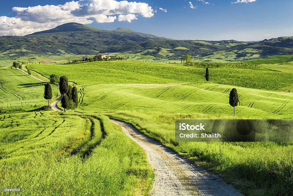 Hermosa vista de la ruta entre campos de Toscana - Foto de stock de Agricultura libre de derechos