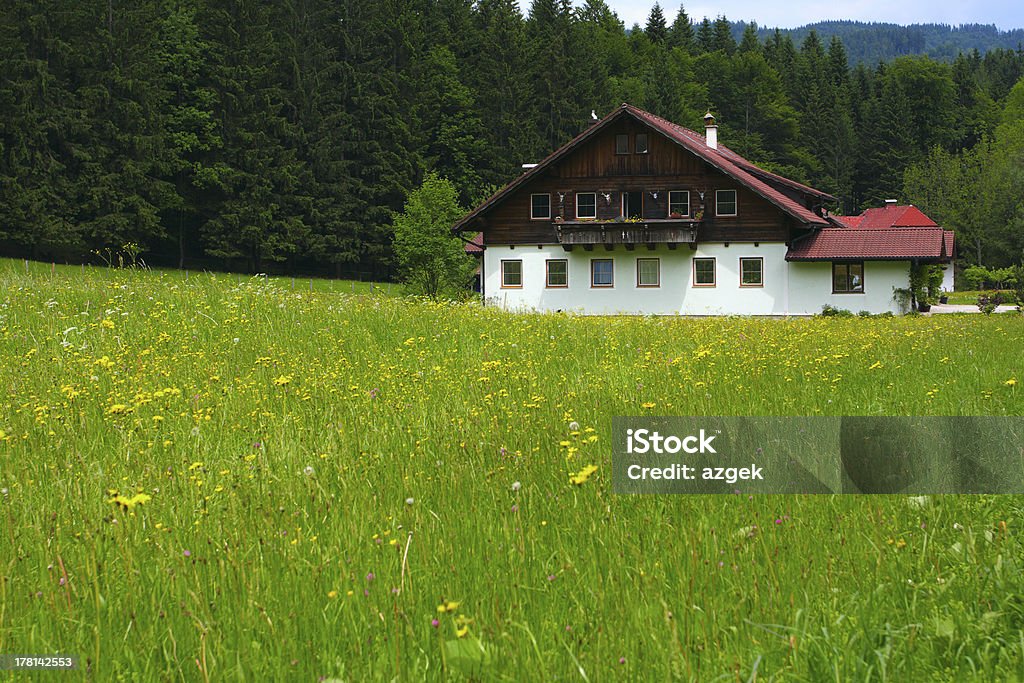 alpine casa - Foto de stock de Agricultura libre de derechos