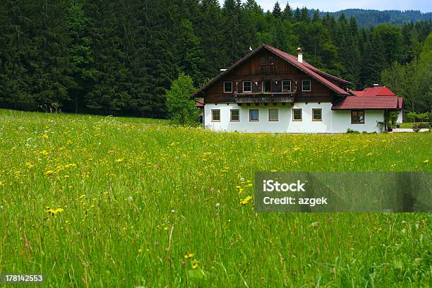 Alpine Casa Foto de stock y más banco de imágenes de Agricultura - Agricultura, Aire libre, Alpes Europeos