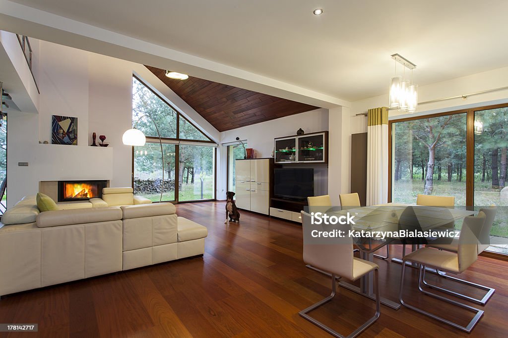 Living room Contemporary living room with the sitting dog Apartment Stock Photo