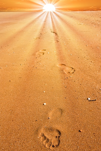 footprints on a sand by an evening