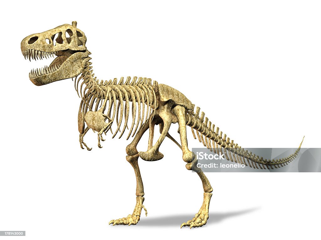 T-Rex esqueleto. En fondo blanco. Trazado de recorte incluido. - Foto de stock de Esqueleto de animal libre de derechos