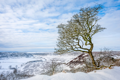 View of the North York Moors near the Hole of Horcum, a natural depression, which is situated between the villages of Goathland and Levisham, both in north Yorkshire, England, UK. This shot was taken in winter following heavy snowfall but with a bright blue sky at dawn.