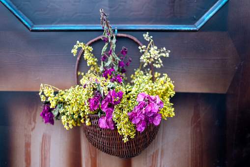 Medicinal herbs, berries and flowers on a wooden door