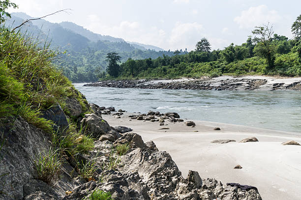 rivière au soleil koshi, népal - runnel photos et images de collection