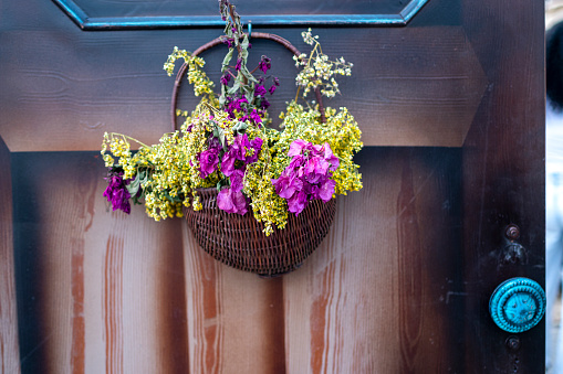 Medicinal herbs, berries and flowers on a wooden door