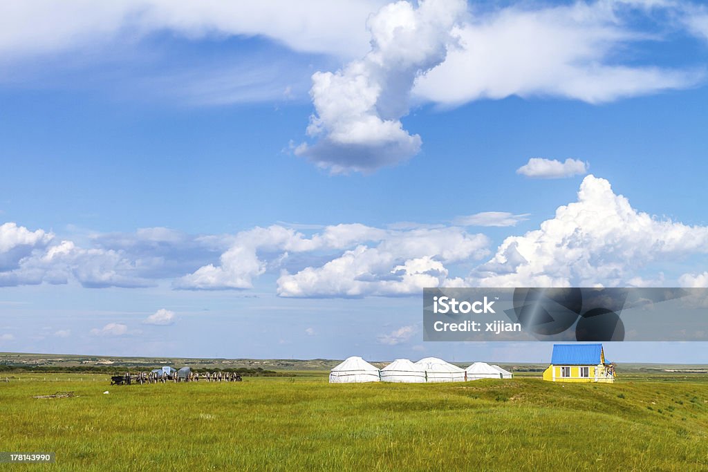 mongolia grassland - Foto stock royalty-free di Agricoltura