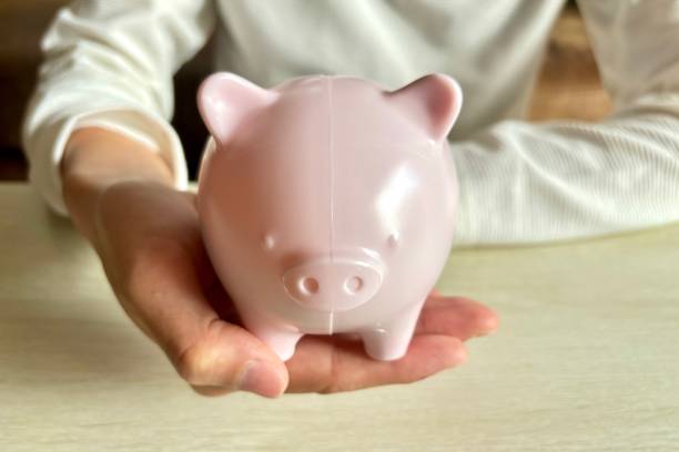istock pig piggy bank in his hand 1781440743