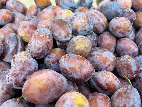 Fresh plums on display at farmers market, closeup of photo