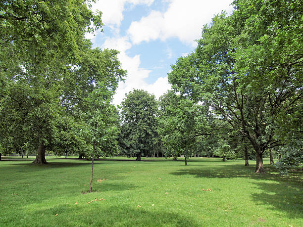 istock Kensington gardens London 178144689