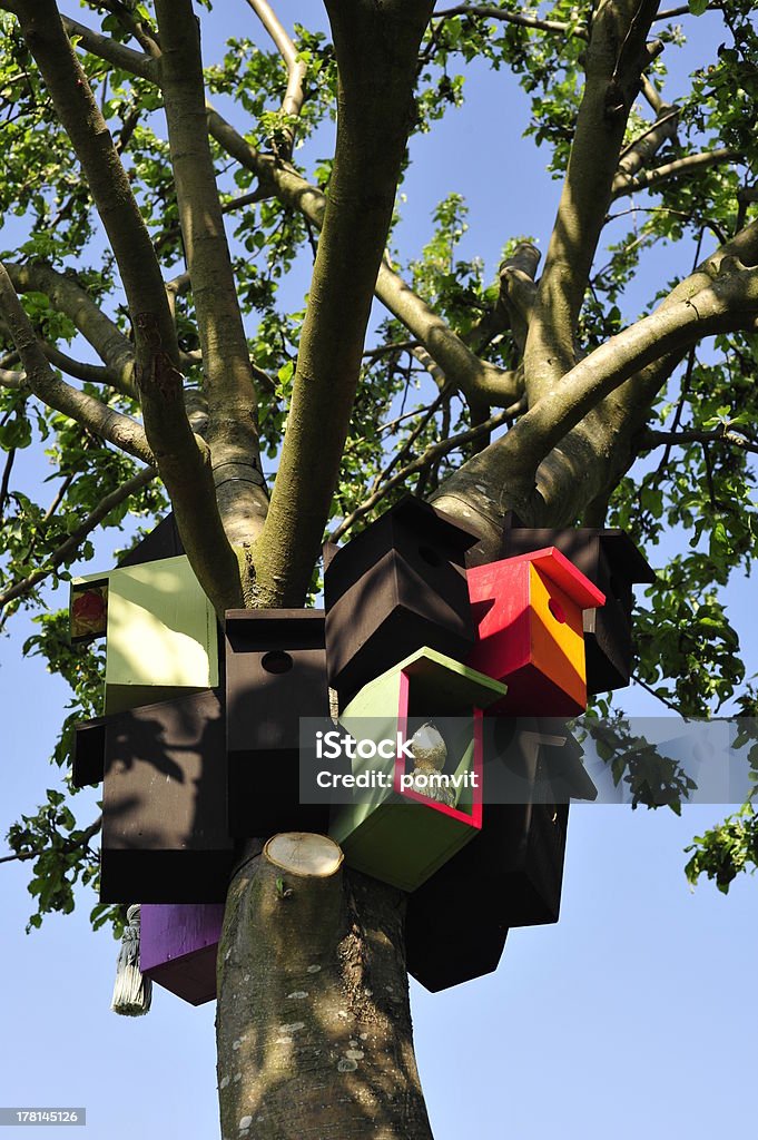 Birdhouses の木 - カラフルのロイヤリティフリーストックフォト