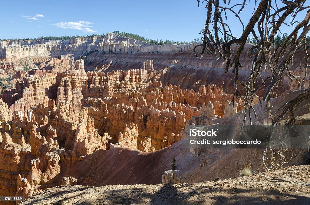 Bryce Canyon - Royalty-free Ao Ar Livre Foto de stock