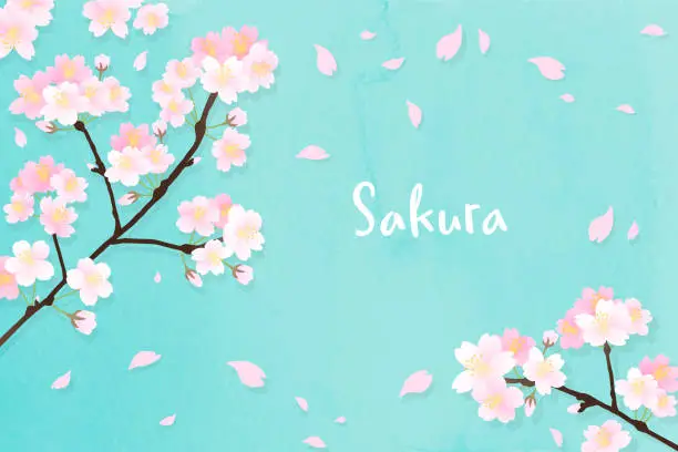 Vector illustration of Simple and cute cherry blossom background material