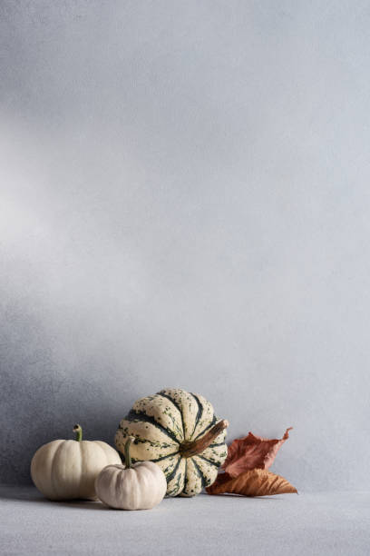 istock Collection of miniature pumpkins 1781461822