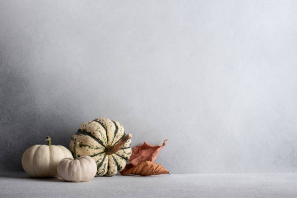istock Collection of miniature pumpkins 1781461823