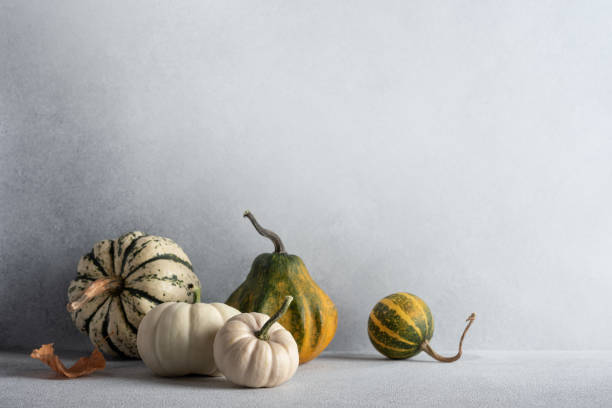 istock Collection of miniature pumpkins 1781461832