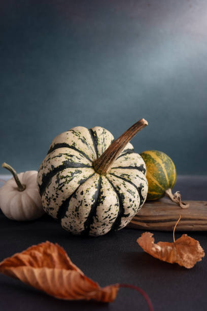istock Miniature pumpkins as cozy autumn home decor 1781464000
