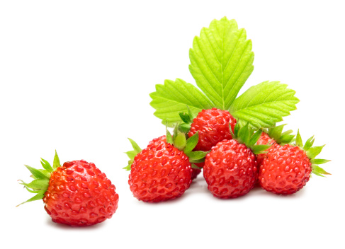 Strawberry flower on natural background