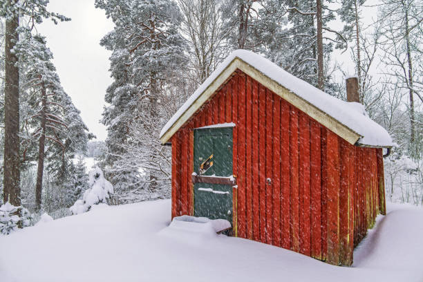istock Red cottage in the woods in a snowfall 1781466717