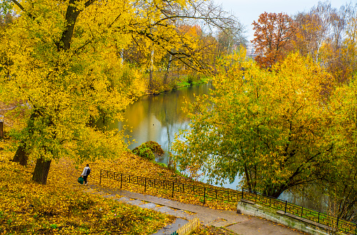 Autumn has its own special beauty. Such landscapes have a calming effect on people.