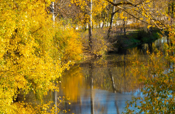 istock Autumn over and near the river. 1781467259