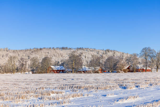istock Farm on a field in a beautiful winter landscape view 1781469384