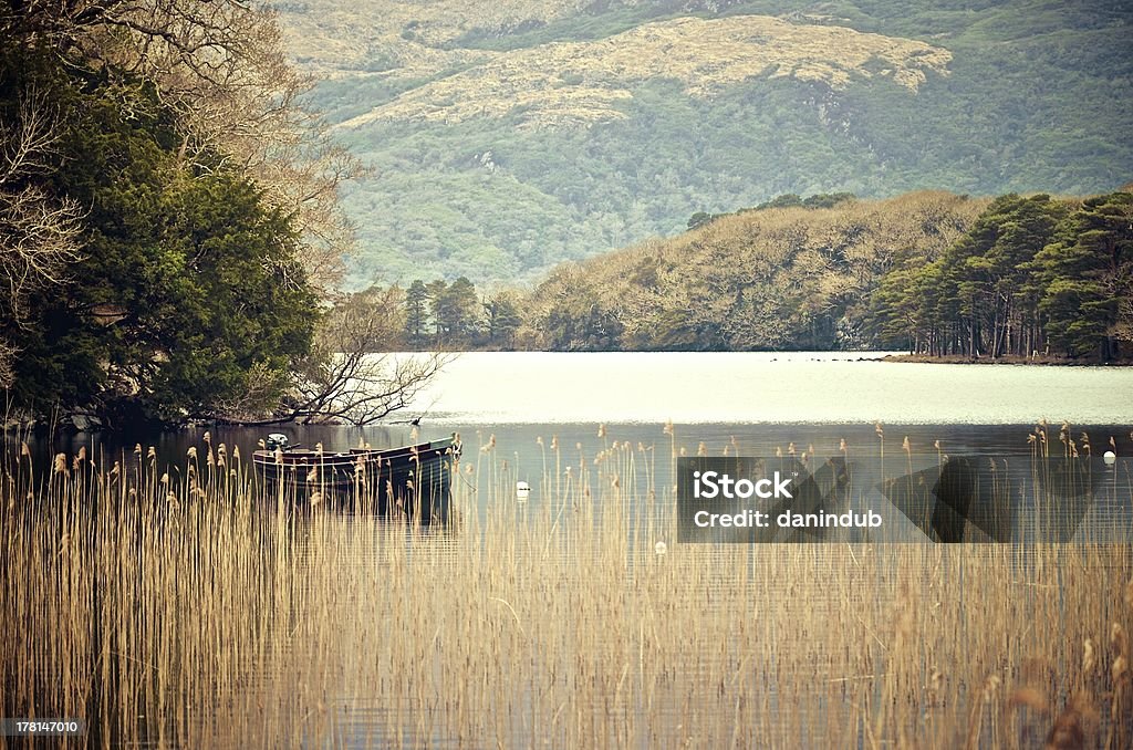 Lago Muckross - Foto stock royalty-free di Acqua