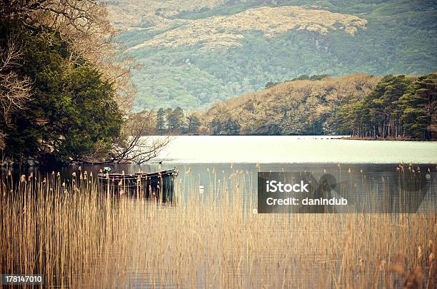 Lago Muckross - Fotografie stock e altre immagini di Acqua - Acqua, Albero, Ambientazione esterna
