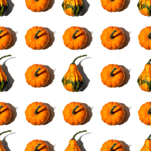 seamless pattern different pumpkins on a white background