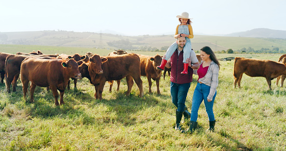 Family, farm and agriculture with a girl, mother and father walking on grass in a meadow with cows. Farmer, sustainability and field with a man, woman and daughter working together in cattle farming