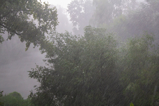 Such heavy rain and wind come after a great heat wave.