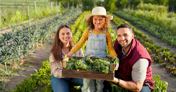 Plant, vegetables and happy family on a farm farming agriculture growth, natural and organic healthy food. Mother, father and child with a big smile from learning harvesting and nature sustainability