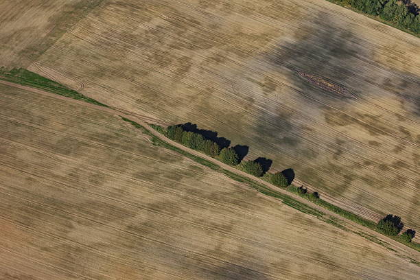 istock Aerial view of a field 178149669