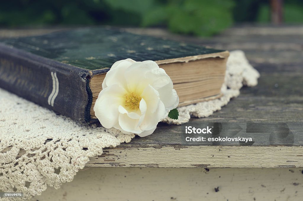 Old book and dog rose flower Old book and dog rose flower on vintage lace doily on garden table Book Stock Photo