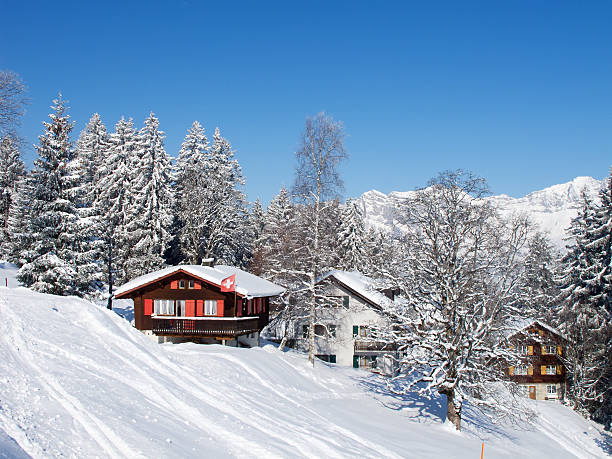 istock Winter holiday house 178150650