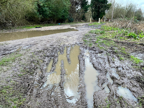 Muddy path after heavy rain in Epping Forest