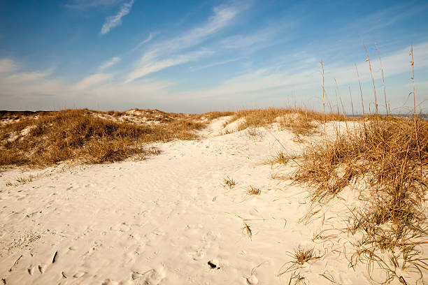 Dunes of Cumberland "Cumberland Island is the largest and southernmost barrier island in Georgia. It was the private playground of Thomas Carnegie and his wife Lucy with some descendants still owning property on the island.  In 1972, a large portion of Cumberland was turned over to the Federal Government by the Carnegie family and it was turned into a National Seashore.  With little commercial development, Cumberlandaas eco-system has remained relatively stable over the last several hundred years.However, barrier Islands are dynamic environments. For visitors who spend a few hours or a few days on Cumberland this soon becomes apparent. Wind shapes the dunes, Fire shapes the plant and animal communities that depend on them, and humans leave their impact too.Cumberland Island supports a rich diversity of animals, plants and offers amazing views of the Atlantic Ocean and Cumberland Sound." eastern shore sand sand dune beach stock pictures, royalty-free photos & images