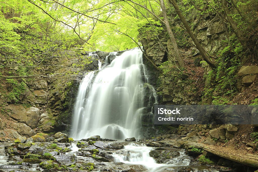 Водопад свежей зеленой - Стоковые фото Satoyama - Scenery роялти-фри